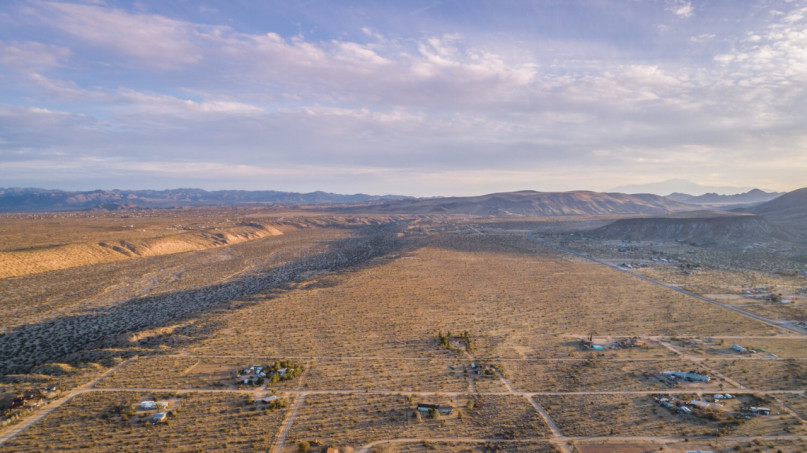 plus74 roos caasita usa joshuatree locatie30