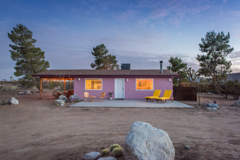 plus74 roos caasita usa joshuatree locatie36