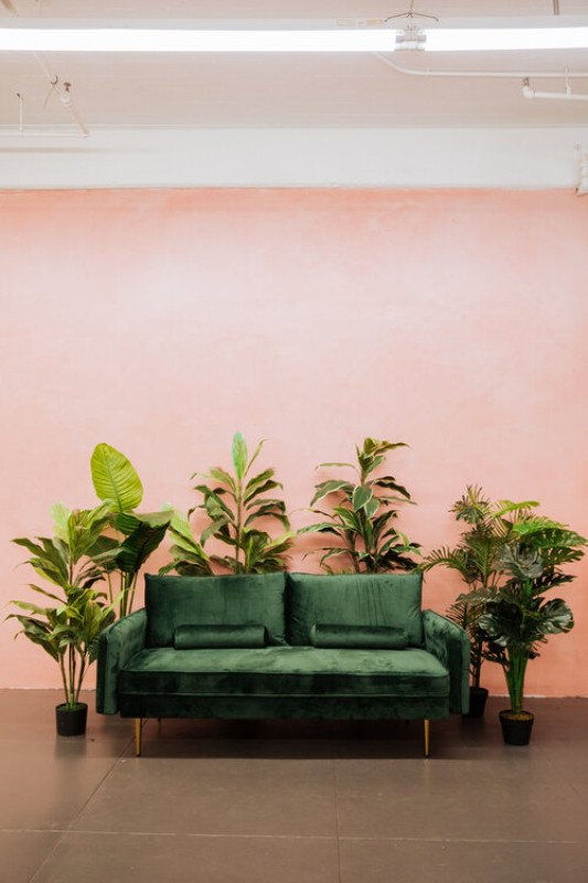 plus74 rose petal nude studio la location1