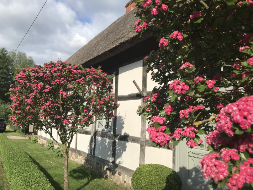 plush74 alte budnerei 3(1)