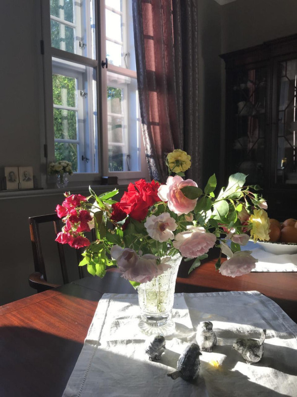 plush74 alte budnerei ahrenshagen 10