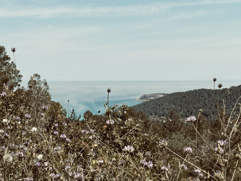 plush74 artist farmhouse ibiza 29