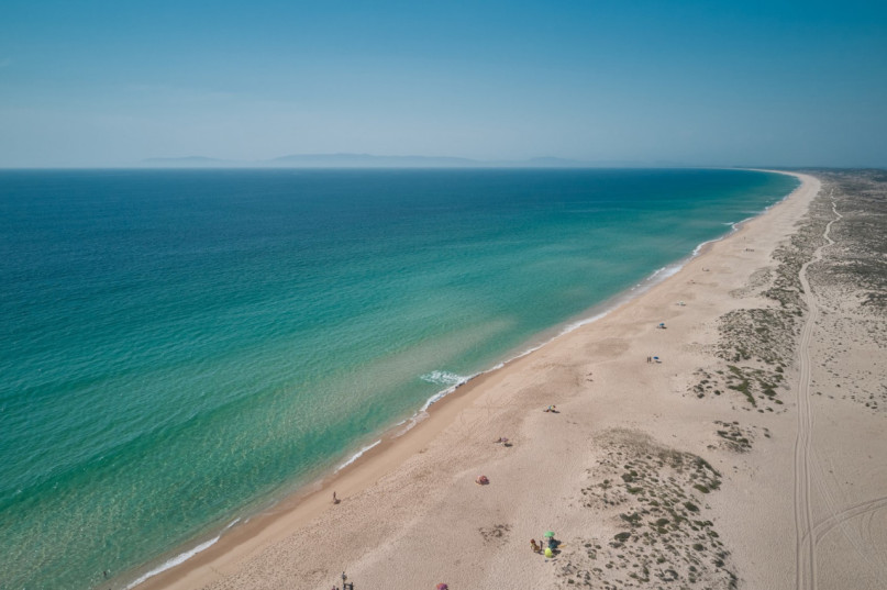 felpa74 club de playa 11