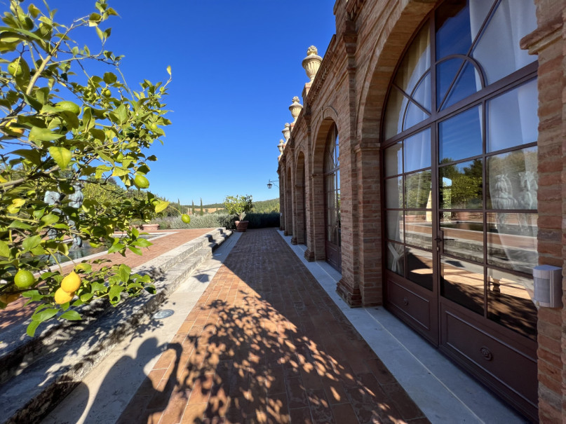 plush74 beneficio 11(1)