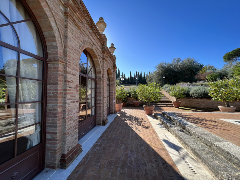 plush74 beneficio 12(1)