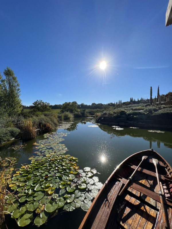 plüsch74 beneficio 19(1)