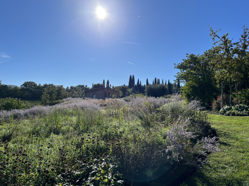 plush74 beneficio 30(1)