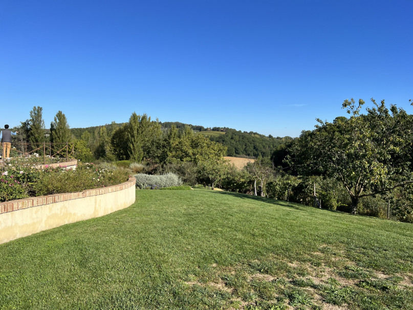 plush74 beneficio 31(1)