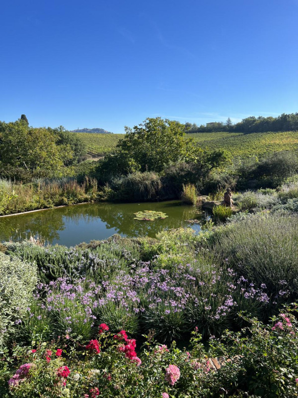 plüsch74 beneficio 36(1)