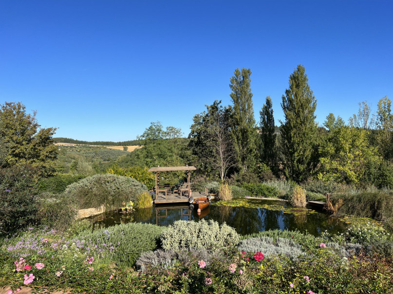 plush74 beneficio 38(1)