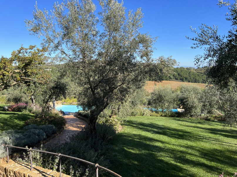 plush74 beneficio 40(1)