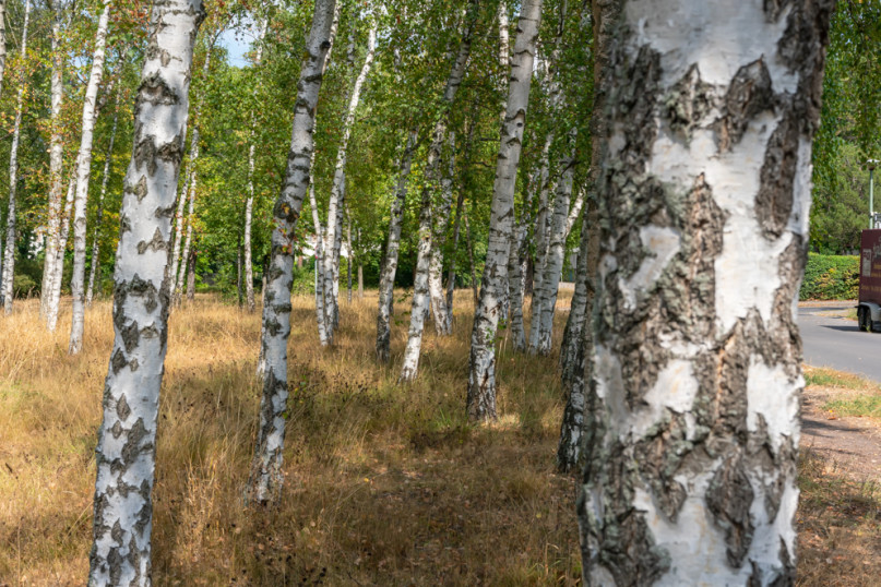 peluche74 berlino affitto location film scout villaggio fotografico american style28