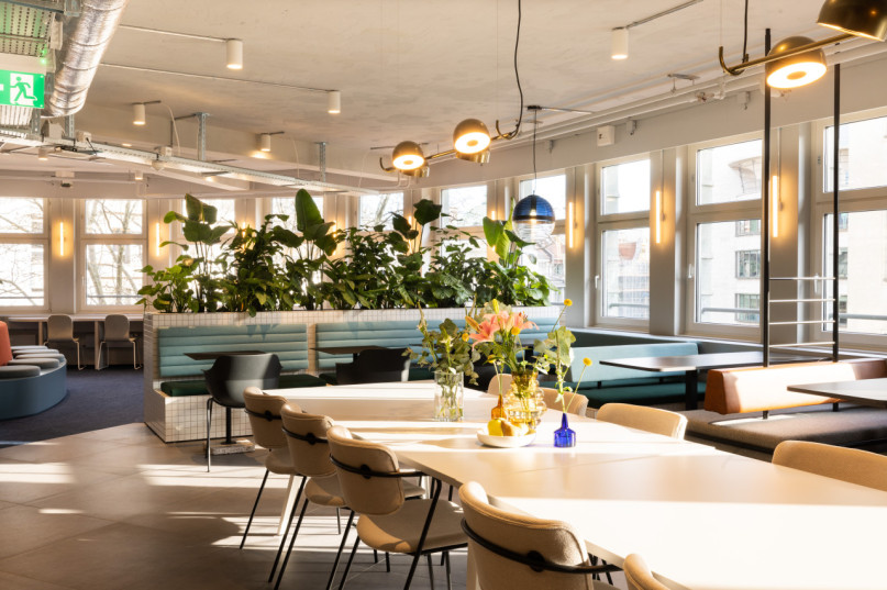 peluche74 spazio di lavoro centrale fascino 20