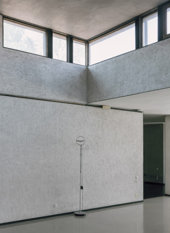 plush74 coleottero1 12 (2)