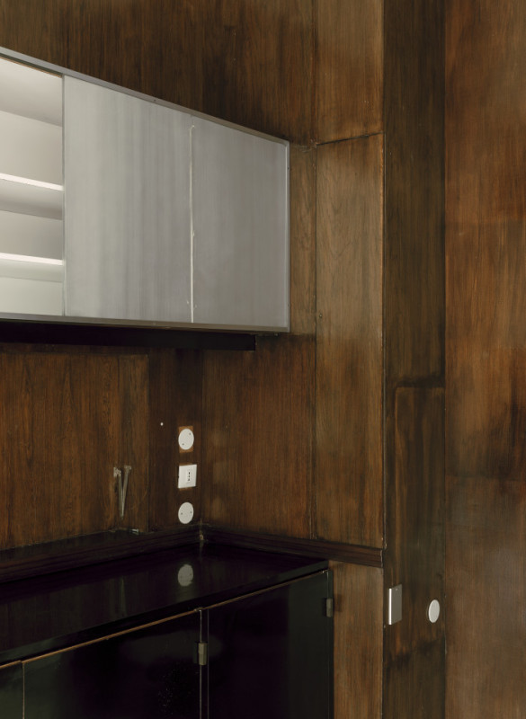 plush74 coleottero1 14 (1)