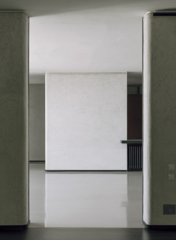 plush74 coleottero1 4 (1)