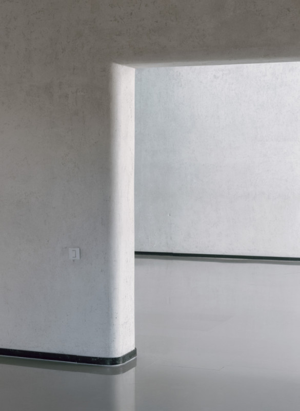 plush74 coleottero1 8