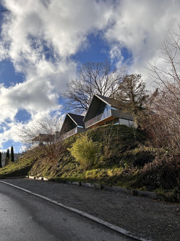 plush74 Gemütliches skandinavisches Design Haus 9