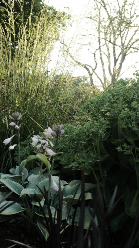 felpa74 campo serenidad uckermark 21(1)