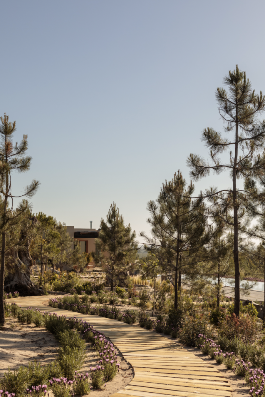 pluche74 creatieve gemeenschap portugal 26