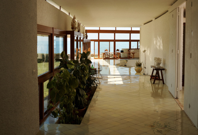 felpa74 damalisco 14(1)