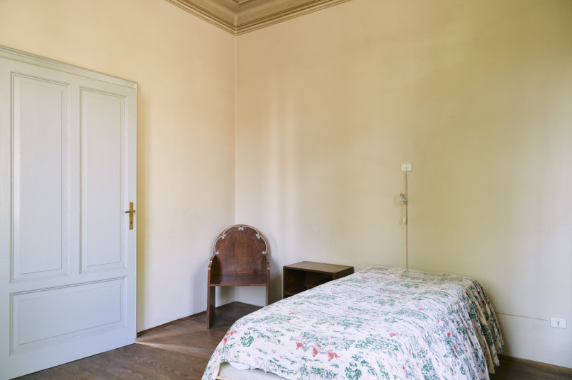 plush74 damalisco 2(1)