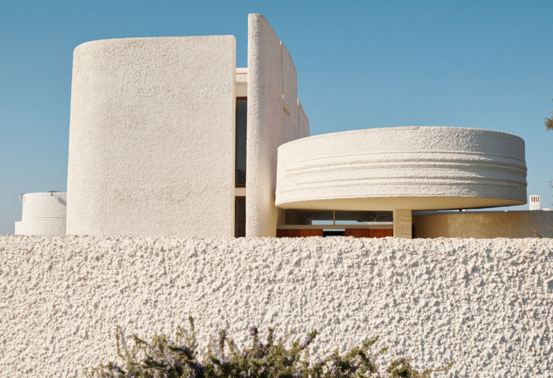 felpa74 damalisco 22(1)