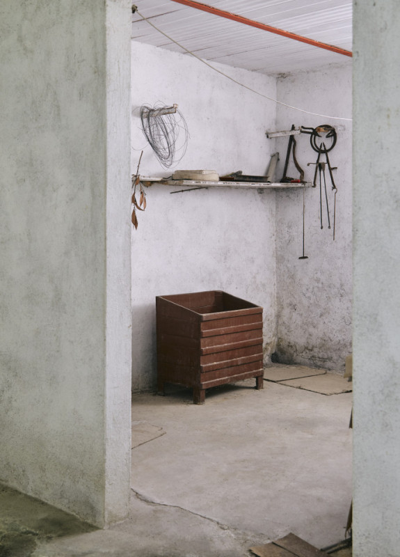 plush74 damalisco 22