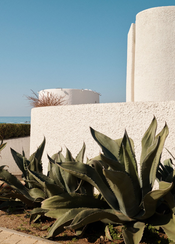 felpa74 damalisco 27