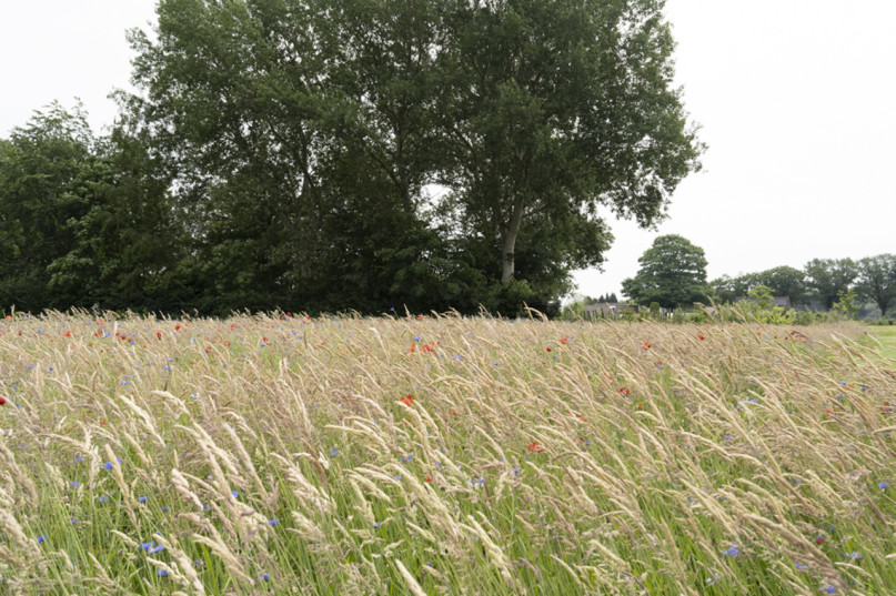 plush74 design studio netherlands 86