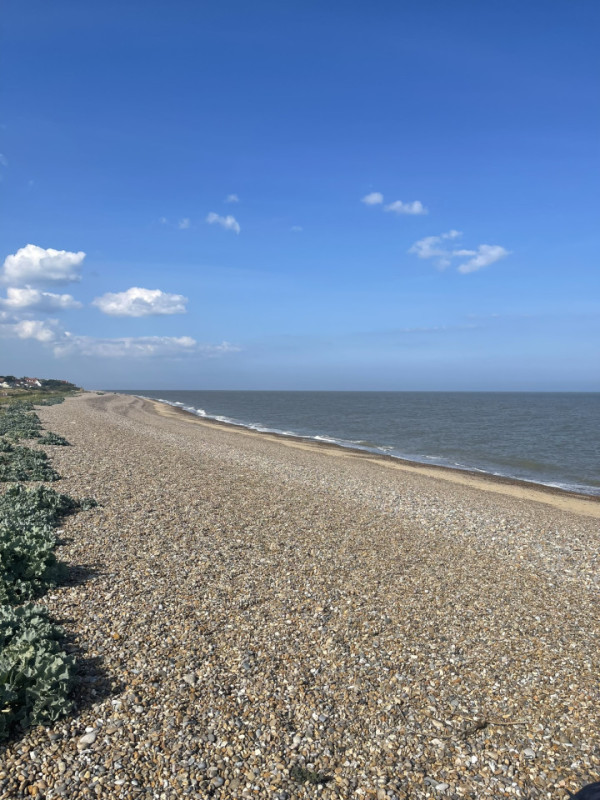 plush74 dune house by the sea 13