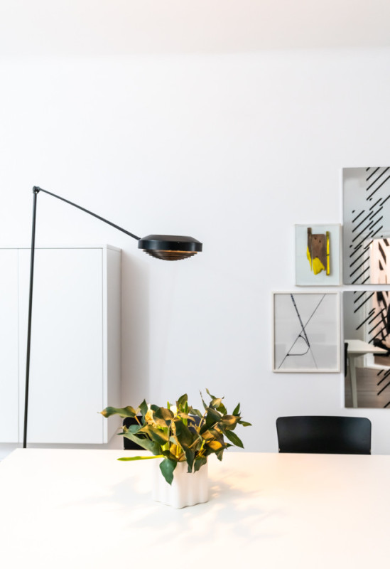 felpa74 elegante bw apartamento 1