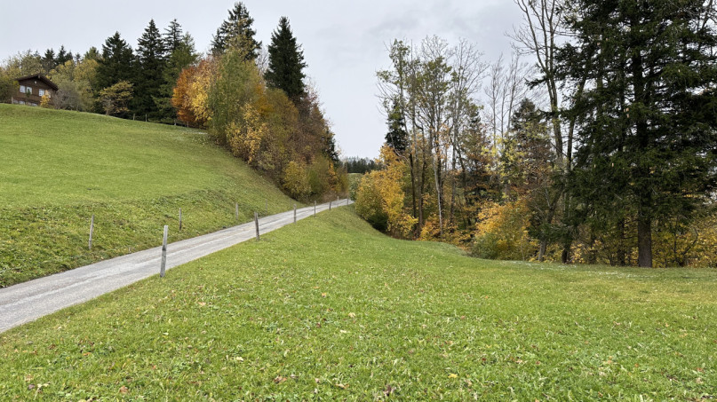 plush74 farmhouse appenzell 44