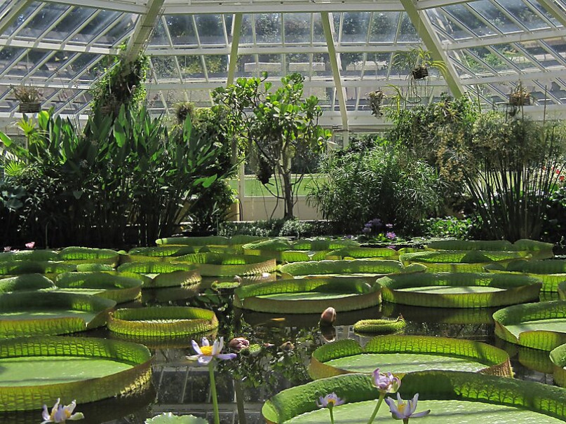 plush74 film photo event location greeenhouse botanical garden belgium meise2