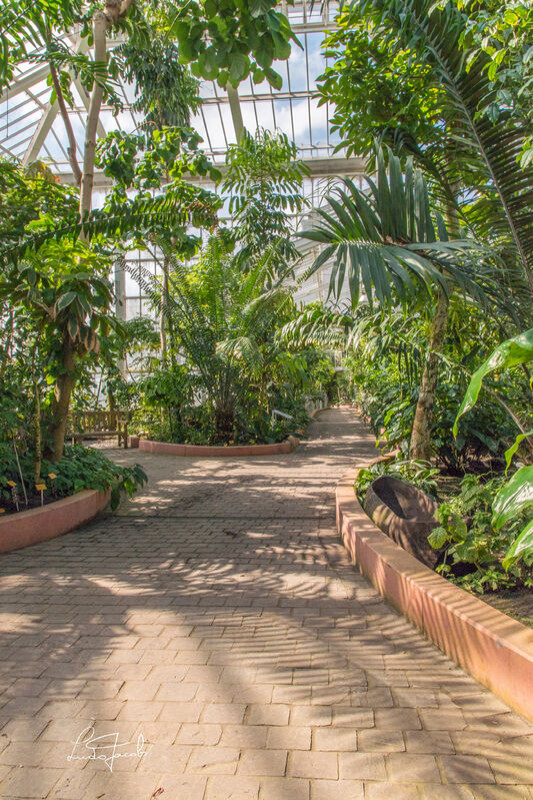 plush74 film photo event location greeenhouse botanical garden belgium meise8