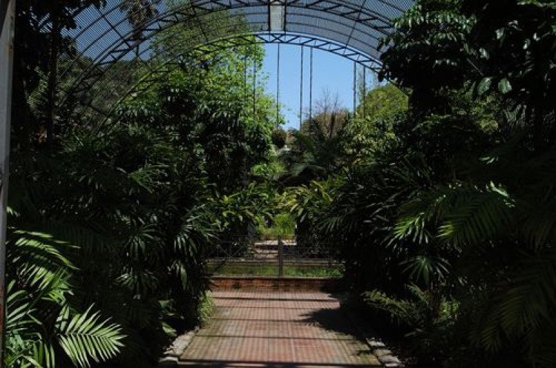 plush74 film photo event location greeenhouse botanical garden valencia spain12