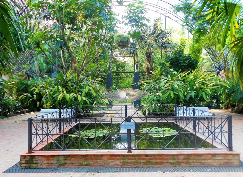 plush74 film photo event location greeenhouse botanical garden valencia spain7