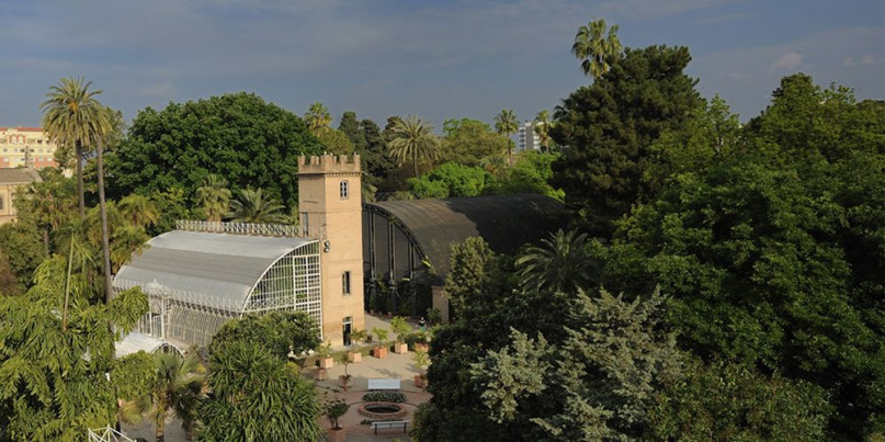 plush74 film photo event location greeenhouse botanical garden valencia spain9