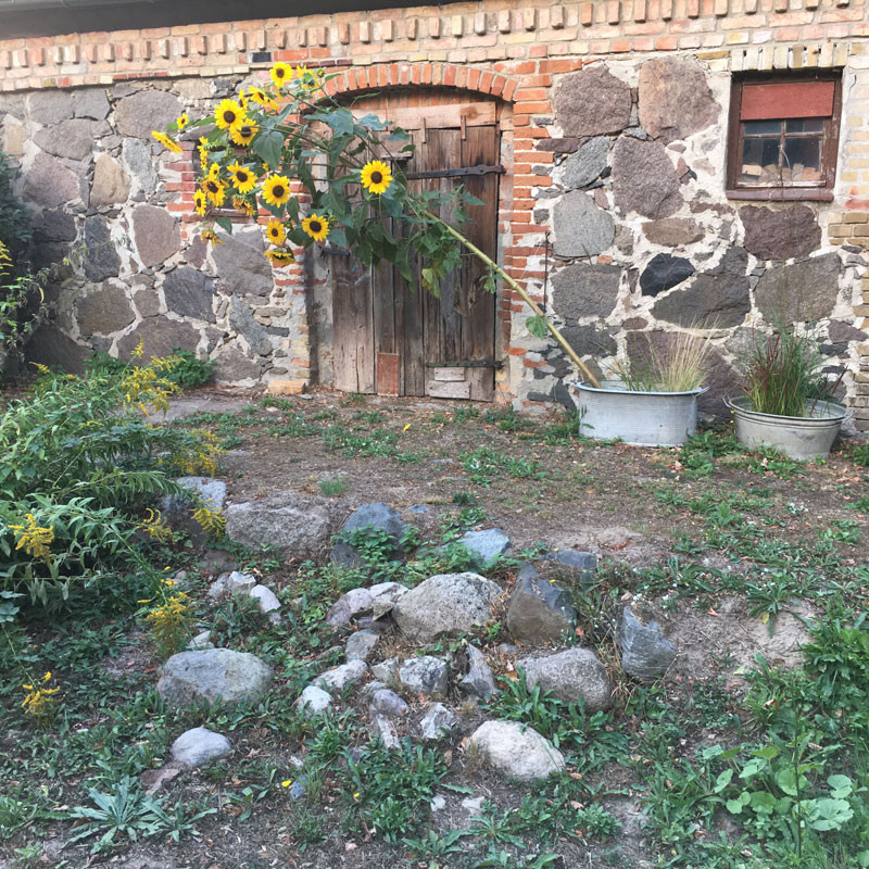 peluche74 film foto evento location uckermark germania fattoria 18