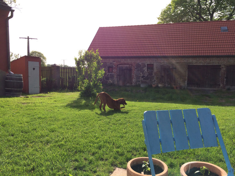 peluche74 film foto evento location uckermark germania fattoria 19