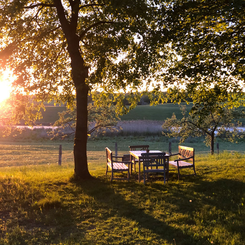 plush74 film photo event location uckermark germany farmhouse 25