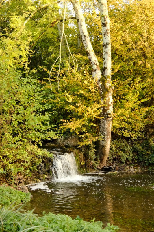 plush74 film photo france cogners rustic house00017
