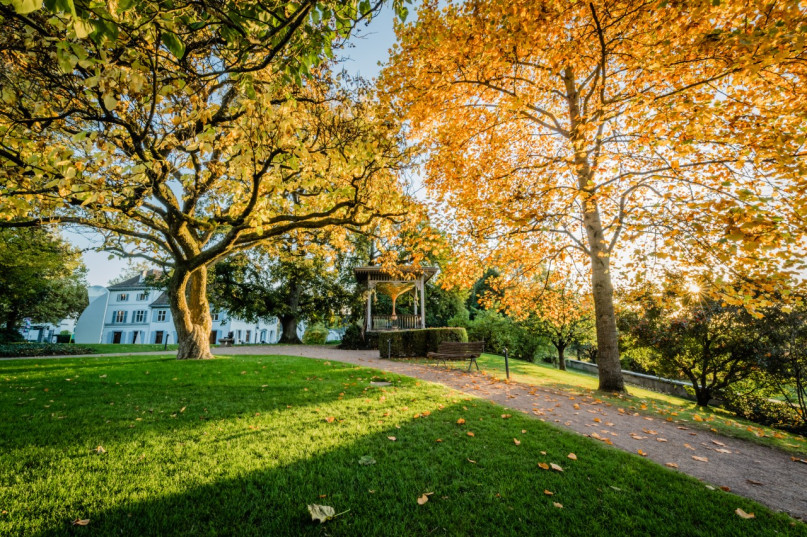 plush74 fondation beyeler 7