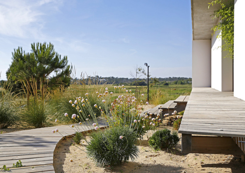 felpa74 retiro formosa 13(1)