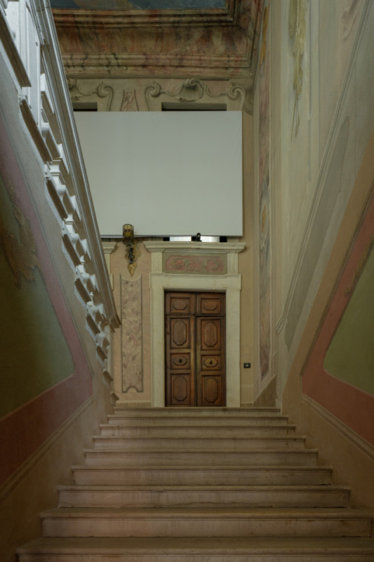 plush74 gattopardo 31