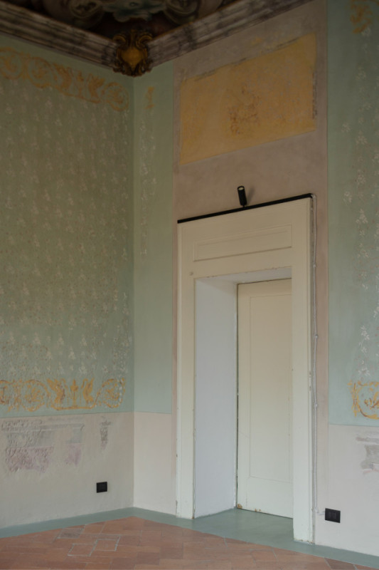 plüsch74 gattopardo 7