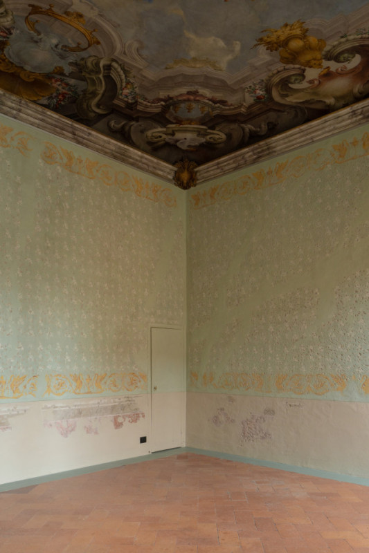 plüsch74 gattopardo 8