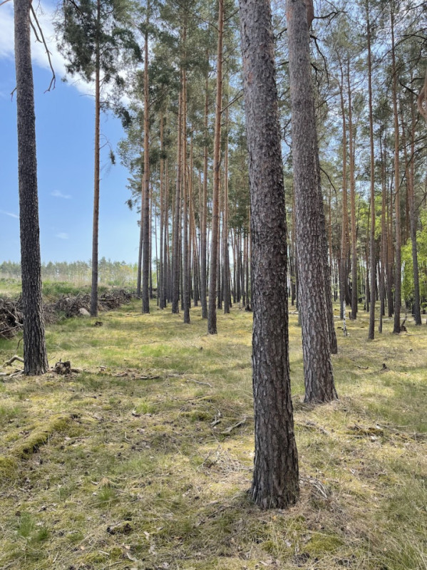 plush74 kiesgrube berlin 25 (3)