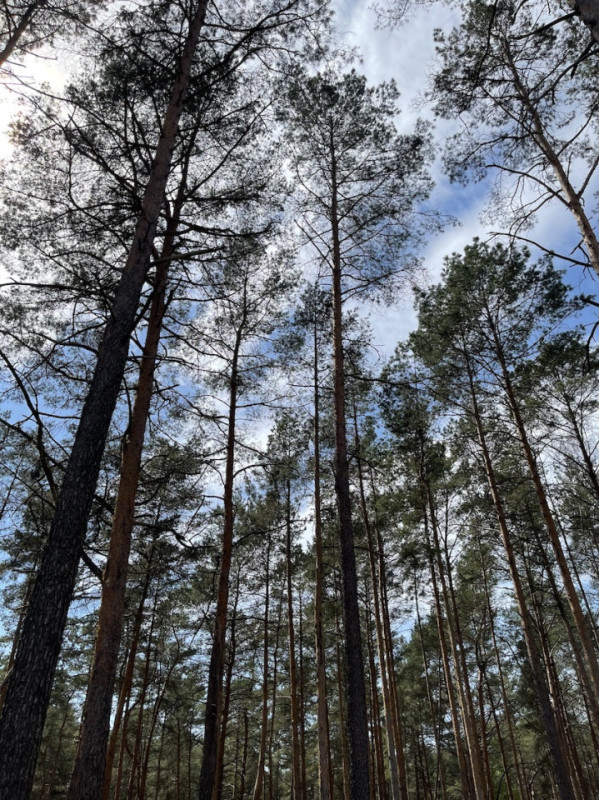 plush74 kiesgrube berlin 26