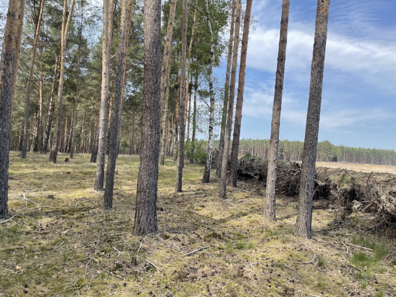 plush74 kiesgrube berlin 29 (1)